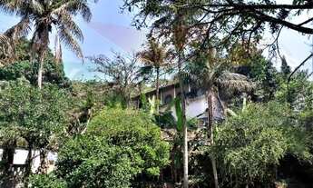 Imagem: Na Rodovia Washington Luiz