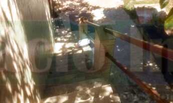 Imagem 2: 3 dormitórios na Rua Quarenta E Seis