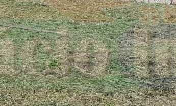 Imagem 2: 600M² de Área Total na Rua Lagumar