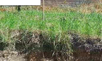 Imagem: 1050M² de Área Total na Estrada Do Leigos