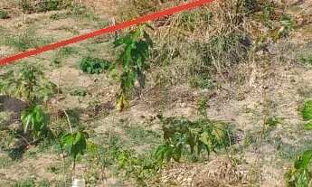 Imagem 2: 450M² de Área Total na Rua Theóphilo D ávila