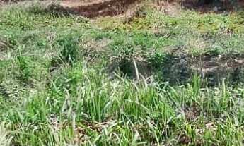 Imagem 6: 450M² de Área Total na Rua Praia Da Cassandoca