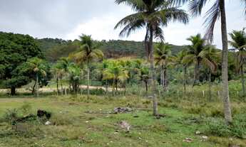 Imagem 5: 1350M² de Área Total