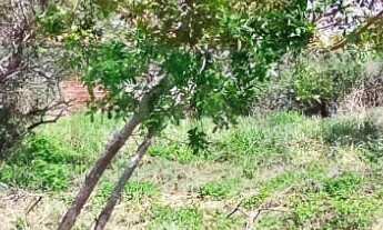 Imagem 3: 450M² de Área Total na Rua Praia Da Cassandoca