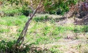 Imagem 7: 450M² de Área Total na Rua Praia Da Cassandoca