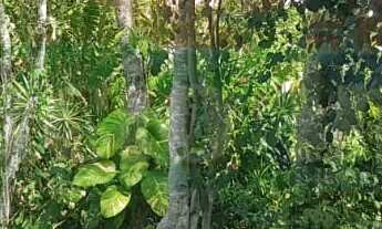 Imagem 3: 819M² de Área Total na Rua Dos Tatuís