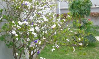 Imagem 5: 3 dormitórios na Rua Cristina Matta Teixeira
