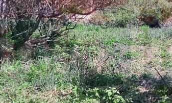 Imagem 4: 450M² de Área Total na Rua Praia Da Cassandoca