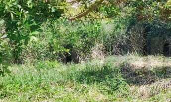 Imagem 5: 450M² de Área Total na Rua Praia Da Cassandoca