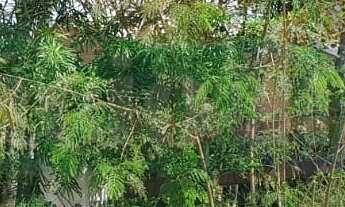 Imagem 5: 819M² de Área Total na Rua Dos Tatuís