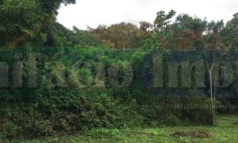 Imagem 4: Na Rua Dr Durval