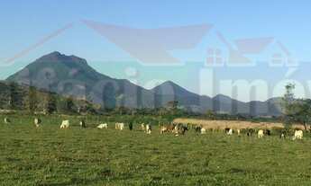 Imagem 3: Na Rua Dr Durval