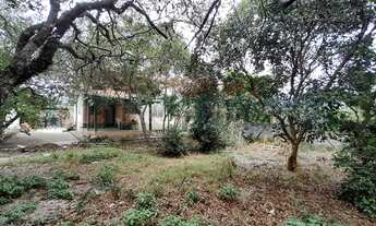 Imagem 3: 3 dormitórios na Rua João Alves Muniz