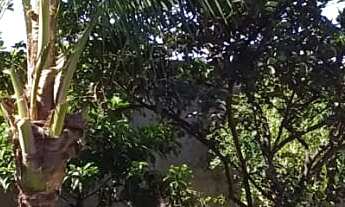 Imagem 7: 450M² de Área Total na Rua 10