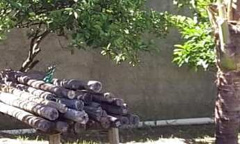 Imagem 2: 450M² de Área Total na Rua 10