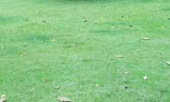 Imagem 4: 20 dormitórios na Estrada Da Floresta