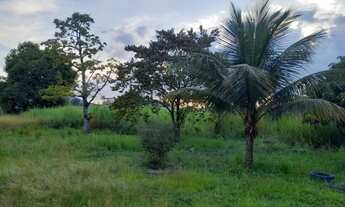Imagem 4: 3 dormitórios na Rua Sete De Setembro