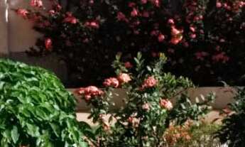 Imagem 5: 3 dormitórios na Rua Robalos 354 A