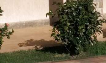 Imagem 6: 3 dormitórios na Rua Robalos 354 A