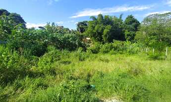 Imagem 3: 600M² de Área Total na Rua Dos Ypes