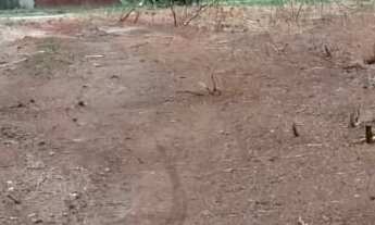 Imagem: 1800M² de Área Total na Rua São Rafael