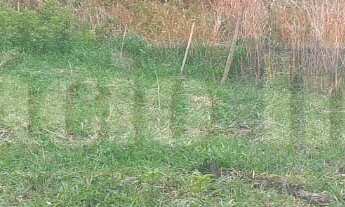 Imagem 3: 580M² de Área Total na Rua Das Goiabeiras