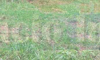 Imagem: 580M² de Área Total na Rua Das Goiabeiras