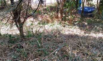 Imagem 4: 450M² de Área Total na Avenida Oliveira Viana