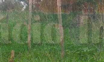 Imagem 2: 580M² de Área Total na Rua Das Goiabeiras