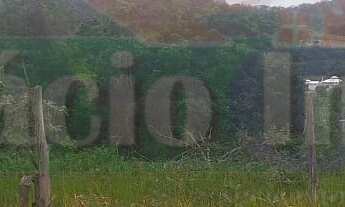 Imagem 6: 580M² de Área Total na Rua Das Goiabeiras