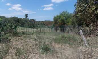 Imagem 3: 1982M² de Área Total na Rua Quarenta Tres Lot Summerville