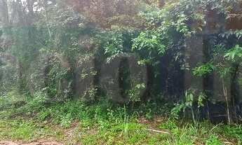 Imagem 5: 1953M² de Área Total na Rua F