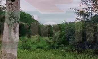 Imagem: 450M² de Área Total na Rua Do Fitão