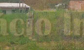 Imagem 7: 580M² de Área Total na Rua Das Goiabeiras