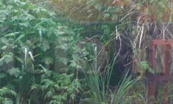 Imagem: 1160M² de Área Total