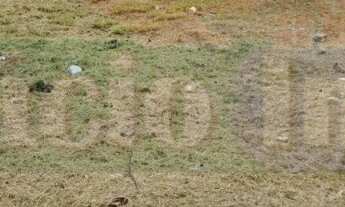 Imagem: 503M² de Área Total na Rua Cel. João