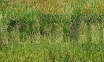 Imagem 6: 618M² de Área Total na Rodovia Rj