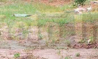 Imagem: 735M² de Área Total na Rua Vitorina Santana