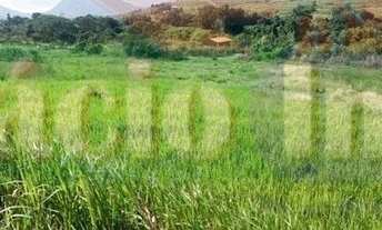 Imagem: 900M² de Área Total na Rodovia Amaral