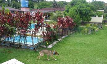 Imagem 7: 1 dormitório na Rua Quatro
