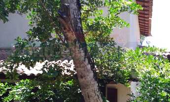 Imagem 3: 1 dormitório na Rua Gustavo Campos Da Silveira