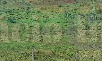 Imagem: 3 dormitórios na Rua Coronel João Catarino