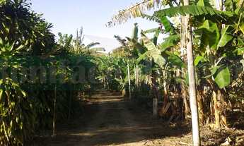 Imagem: 2 dormitórios na Rodovia Amaral Peixoto