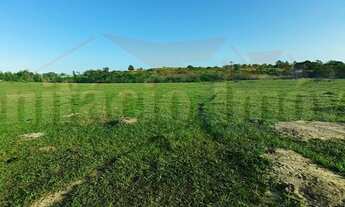 Imagem 2: Na Estrada De Morro Grande