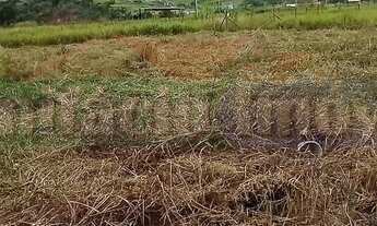 Imagem 2: 600M² de Área Total na Rodovia Amaral Peixoto