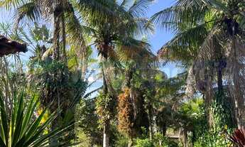 Imagem 5: 5 dormitórios na Rua Doutor Pereira Dos Santos