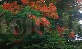 Imagem 6: POSSIBILIDADE DE VENDA SEPARADA - LEIA AS INSTRUÇÕES