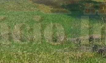 Imagem 4: 470M² de Área Total na Avenida Do Comum