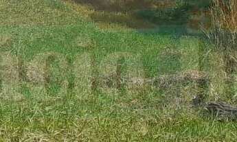 Imagem 7: 470M² de Área Total na Avenida Do Comum