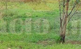 Imagem 4: 1600M² de Área Total na Rua Pedro Vignoli Da Silva